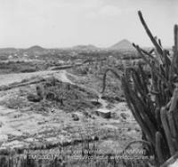 Landschap met op de voorgrond cactussen (Collectie Wereldculturen, TM-20003756), Lawson, Boy (1925-1992)