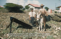 Aloe-snijders met lekbak (Collectie Wereldculturen, TM-20029114), Lawson, Boy (1925-1992)