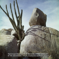 Dolomiet met cactus (Collectie Wereldculturen, TM-20029508)