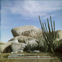 Dolomieten met cactus (Collectie Wereldculturen, TM-20029511), Lawson, Boy (1925-1992)