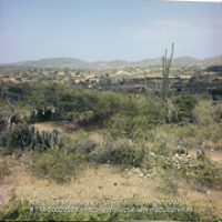 Gezicht op een landschap met cactussen en struikgewas (Collectie Wereldculturen, TM-20029529), Lawson, Boy (1925-1992)