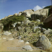 Landschap met dolomieten en cactussen (Collectie Wereldculturen, TM-20029562), Lawson, Boy (1925-1992)