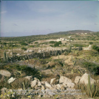 Gezicht op het landschap bij Casibari, met stenen erfafscheiding (Collectie Wereldculturen, TM-20029565), Lawson, Boy (1925-1992)