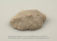 Schelp, gevonden in een graf (Collectie Wereldculturen, TM-2344-208)