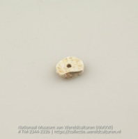 Kraal van schelp (Collectie Wereldculturen, TM-2344-233b)