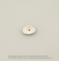 Kraal van schelp (Collectie Wereldculturen, TM-2344-233c)