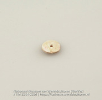 Kraal van schelp (Collectie Wereldculturen, TM-2344-233d)