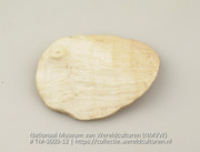 Schijf van schelp met knopvormige verdikking (Collectie Wereldculturen, TM-3603-12)