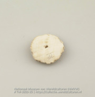 Schijf van schelp (Collectie Wereldculturen, TM-3603-30)