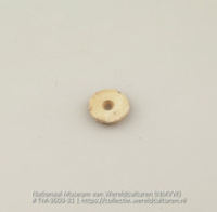 Schijf van schelp (Collectie Wereldculturen, TM-3603-31)