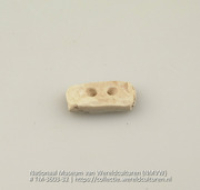 Langwerpig stuk schelp met twee gaatjes (Collectie Wereldculturen, TM-3603-32)