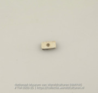 Langwerpig stuk schelp met een gaatje (Collectie Wereldculturen, TM-3603-35)